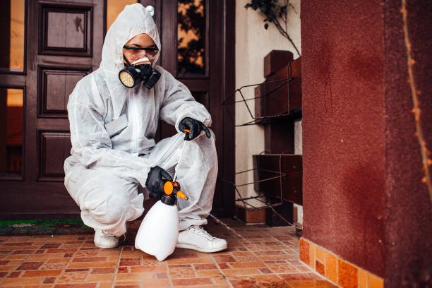 Reliable Wasp Removal contractor in Winnetka, IL by Show Me Pest Control